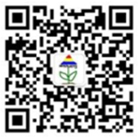 中文鋼琴網官方微信公眾號